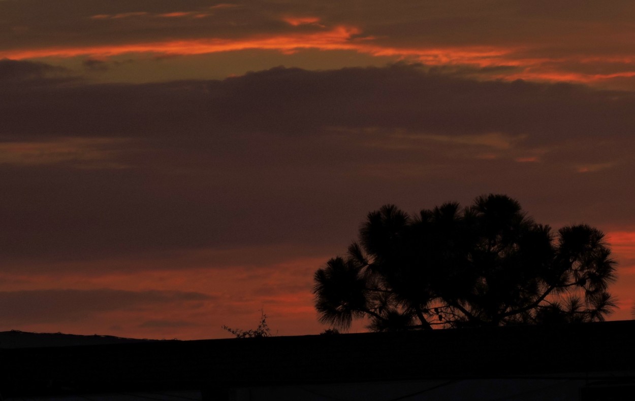 "Amanecer Lanusense" de Silvia Olliari