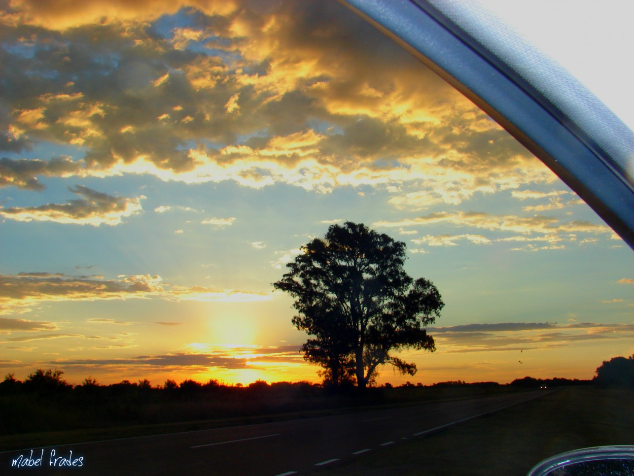 "atardeceres pampeanos ," de Mabel Frades