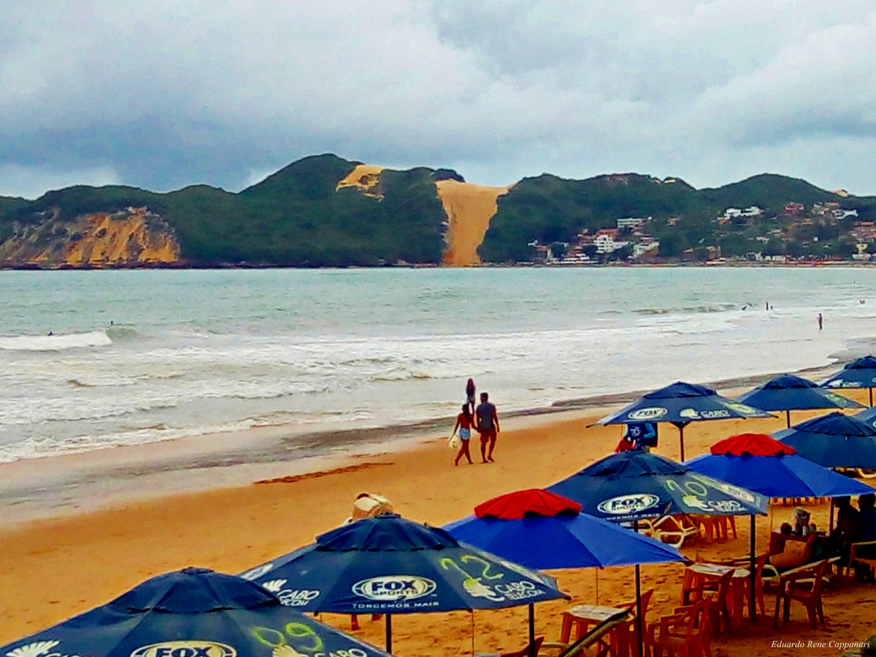 "Fox (playa Natal)" de Eduardo Rene Cappanari