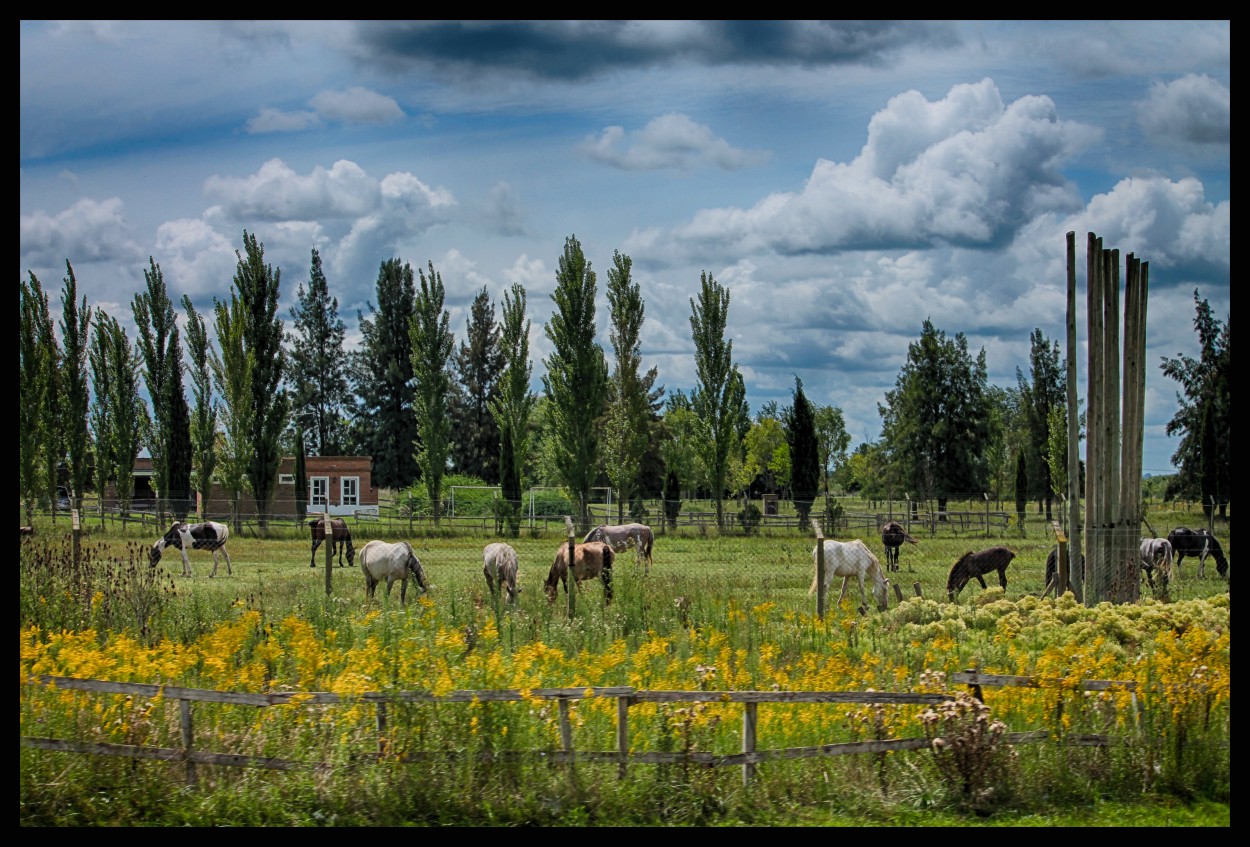 "Cuadro campestre" de Beln Giordano