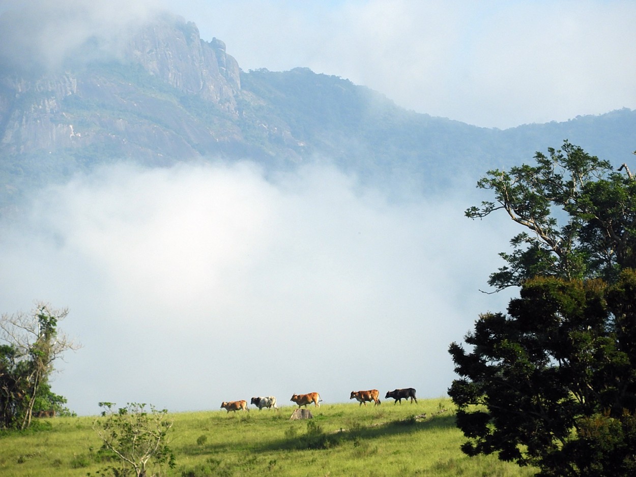 "Amanhecendo no campo, nos ultmos dias do Vero !" de Decio Badari