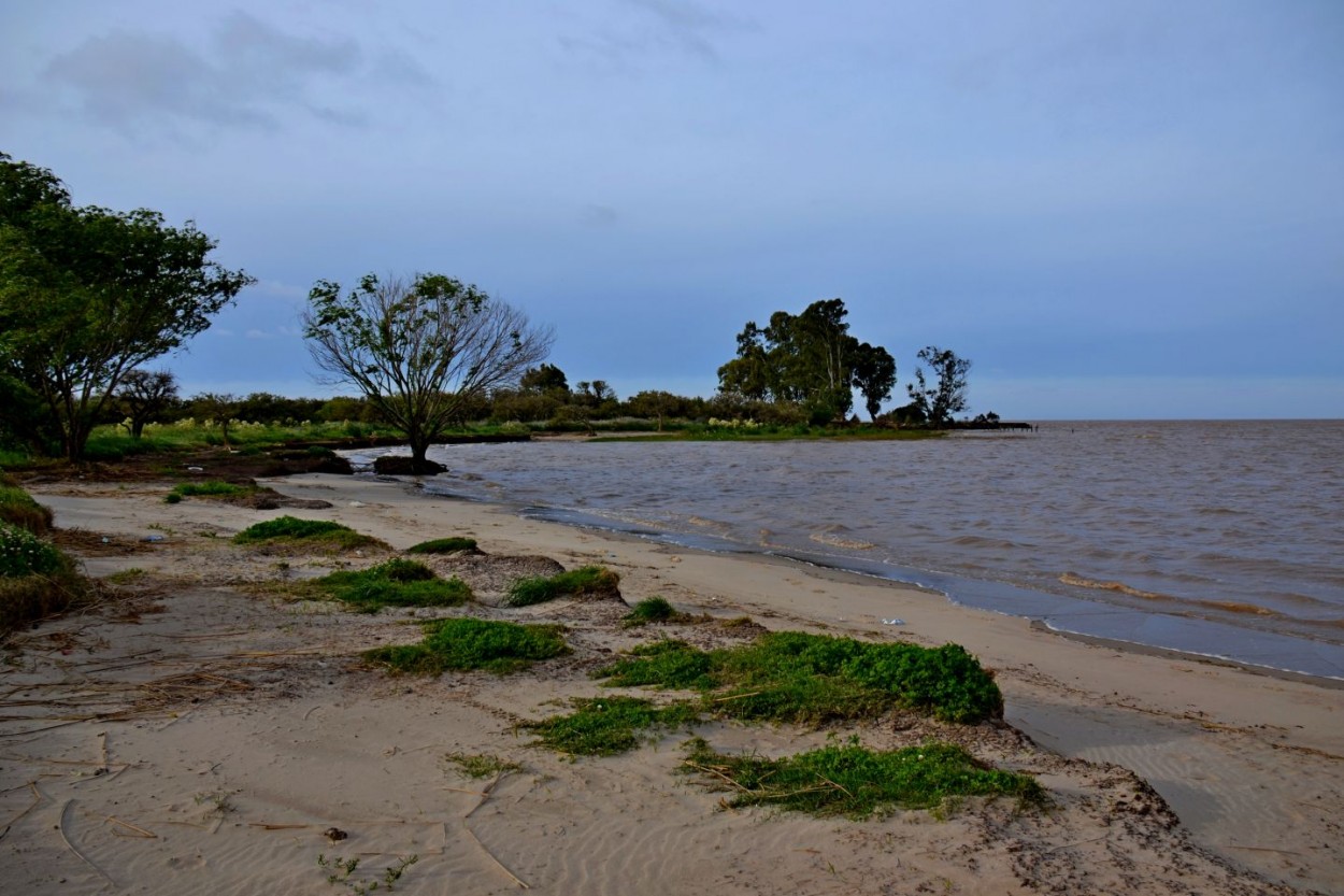 "La costa" de Carlos D. Cristina Miguel