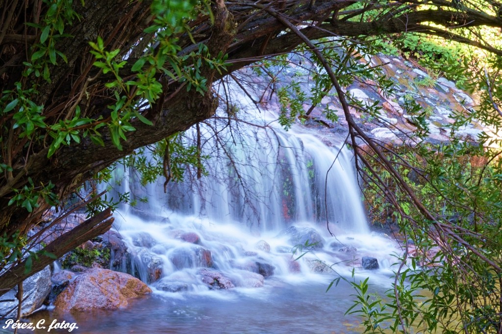 "Cascada de seda." de Claudia Perez