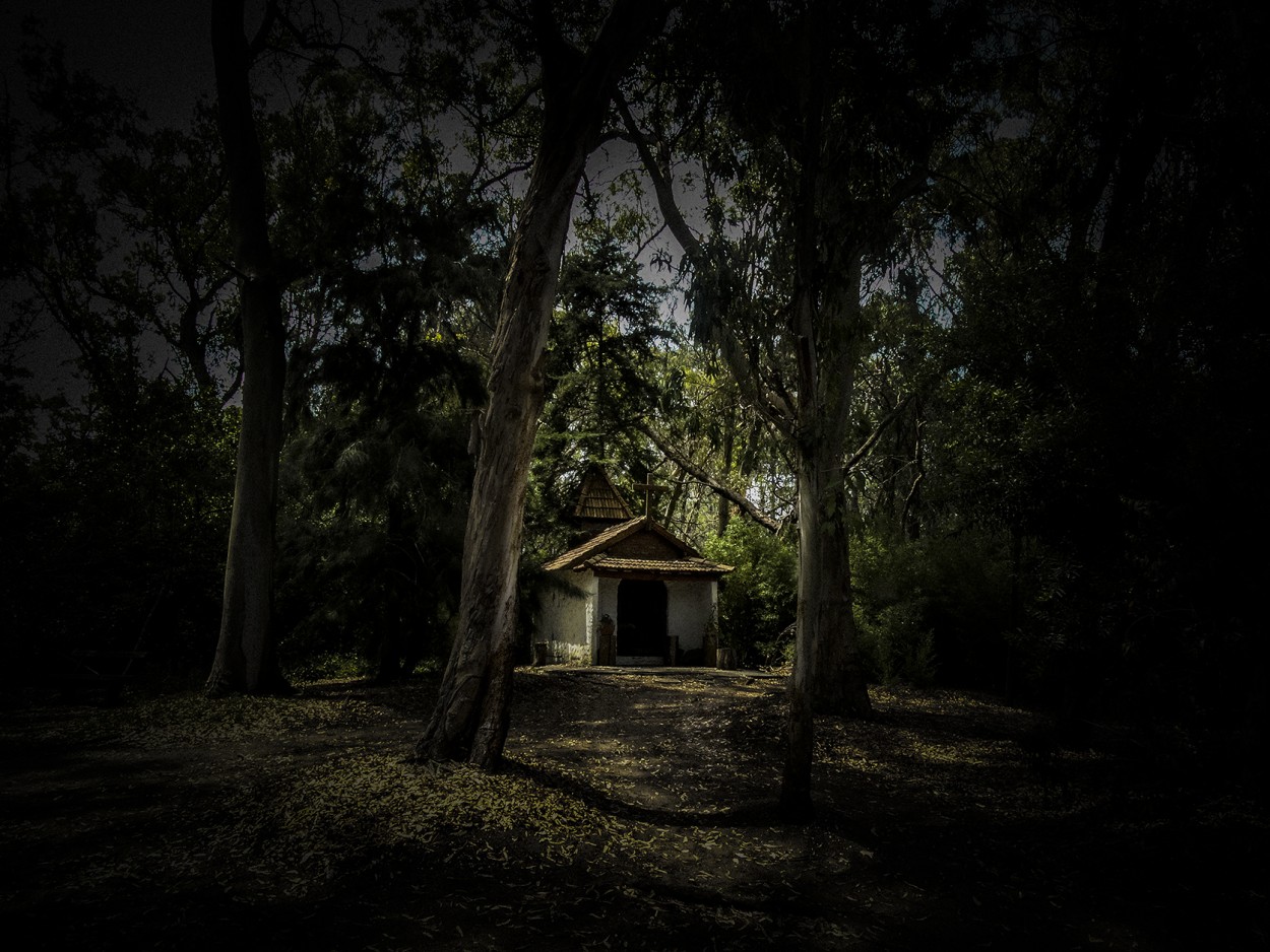 "La Capilla del Bosque" de Ruperto Silverio Martinez