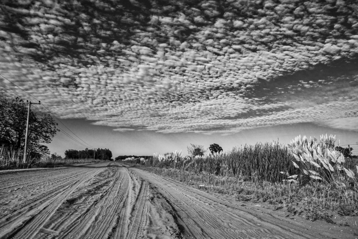 "Las nubes" de Fernando Valdez Vazquez