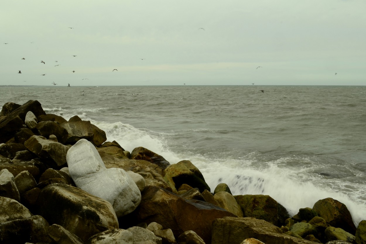 "Espign de Mar del Plata" de Barbara Warley