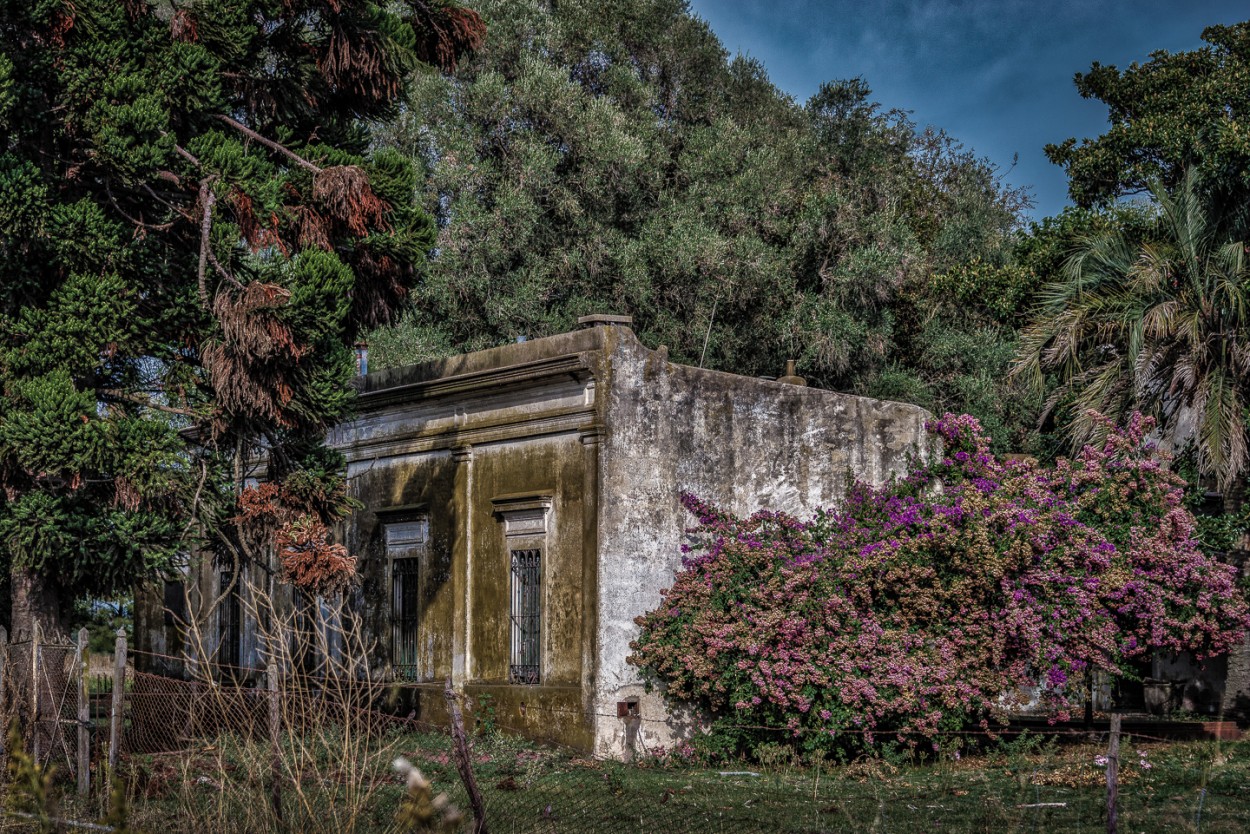 "La vieja casona de campo" de Fernando Valdez Vazquez