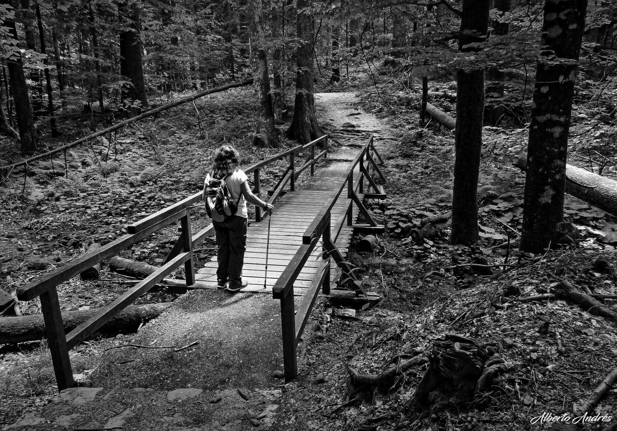 "El Camino a Recorrer" de Alberto Andrs Melo