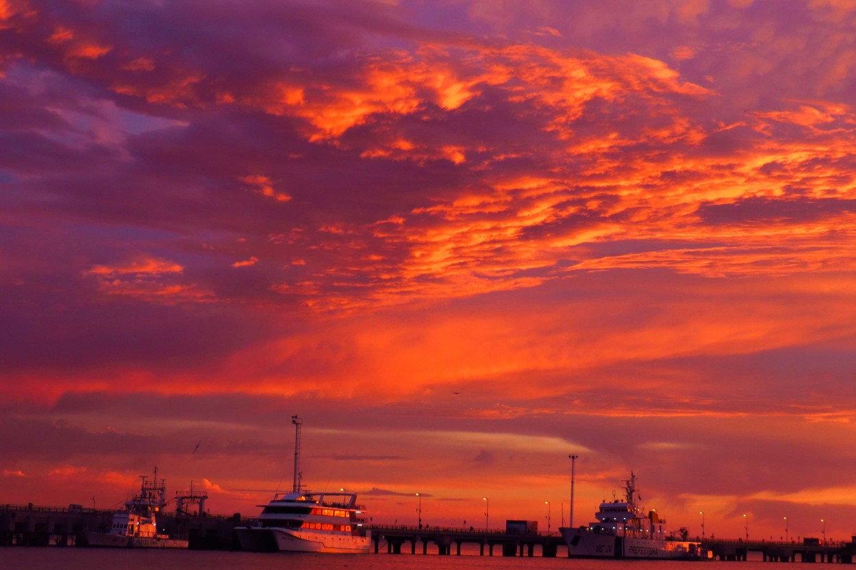 "`Amaneciendo en el puerto`" de Iris Elizabeth Scotto