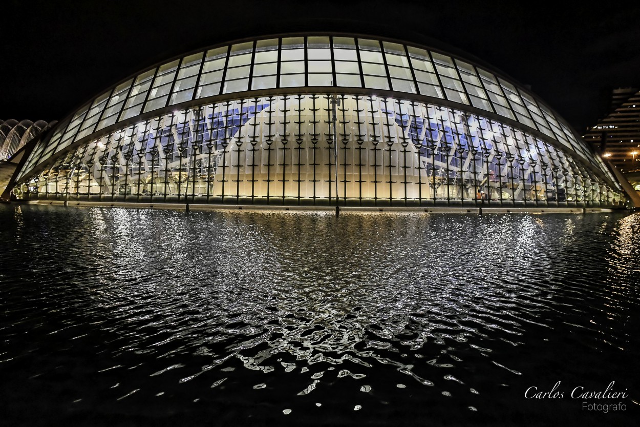 "`La ciudad de las ciencias Valencia`" de Carlos Cavalieri