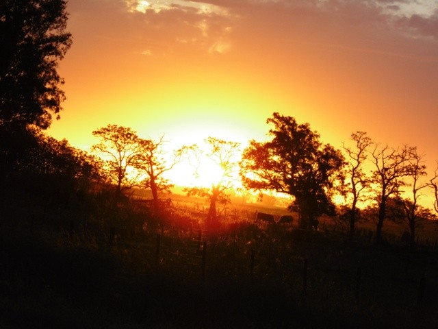 "Atardecer en el campo" de Vernica Goral