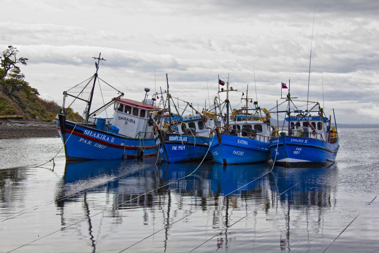 "Pesqueros estrecho de Magallanes Chile" de Manuel Raul Pantin Rivero