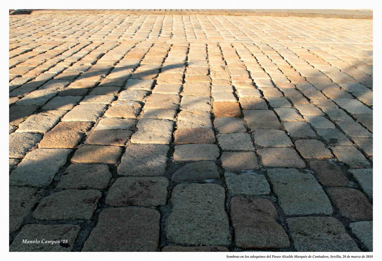 "Sombras en los adoquines de Sevilla" de Manuel Ramn Campos Conde