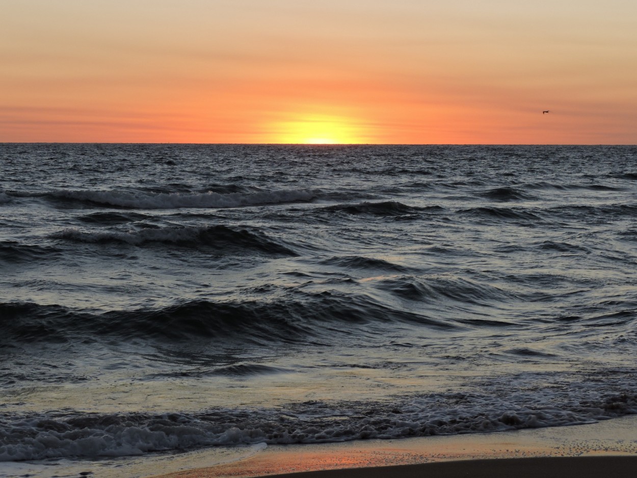 "Atardecer Playero" de Silvia Olliari