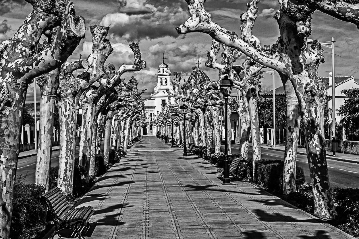 "Camino a LLedo. Castelln, Espaa" de Juan Beas