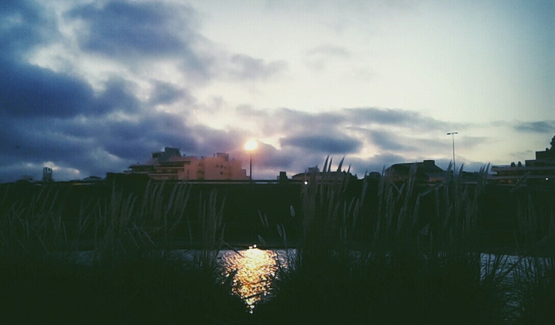 "reflejos en el agua" de Isabel Corbera