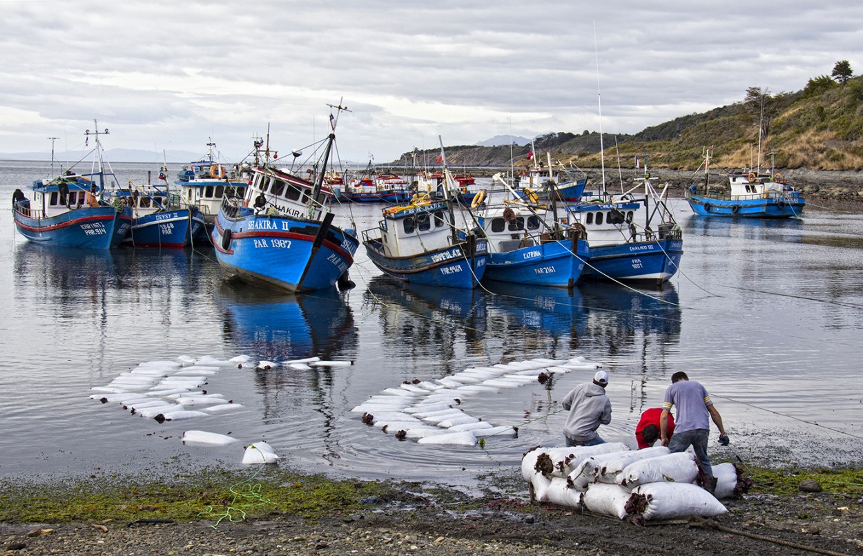 "Pescadores de algas del Estrecho de Magallanes" de Manuel Raul Pantin Rivero