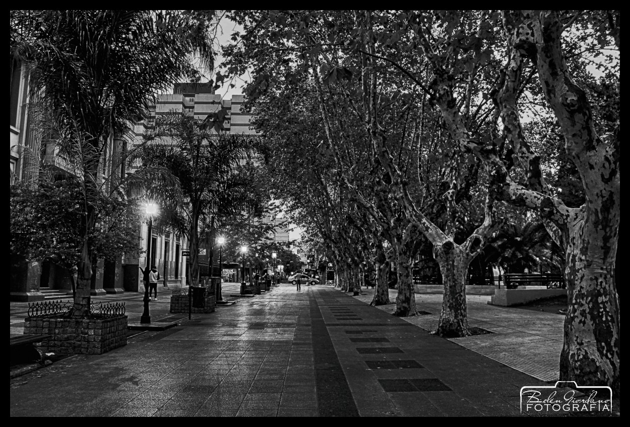 "Por las calles de Quilmes" de Beln Giordano