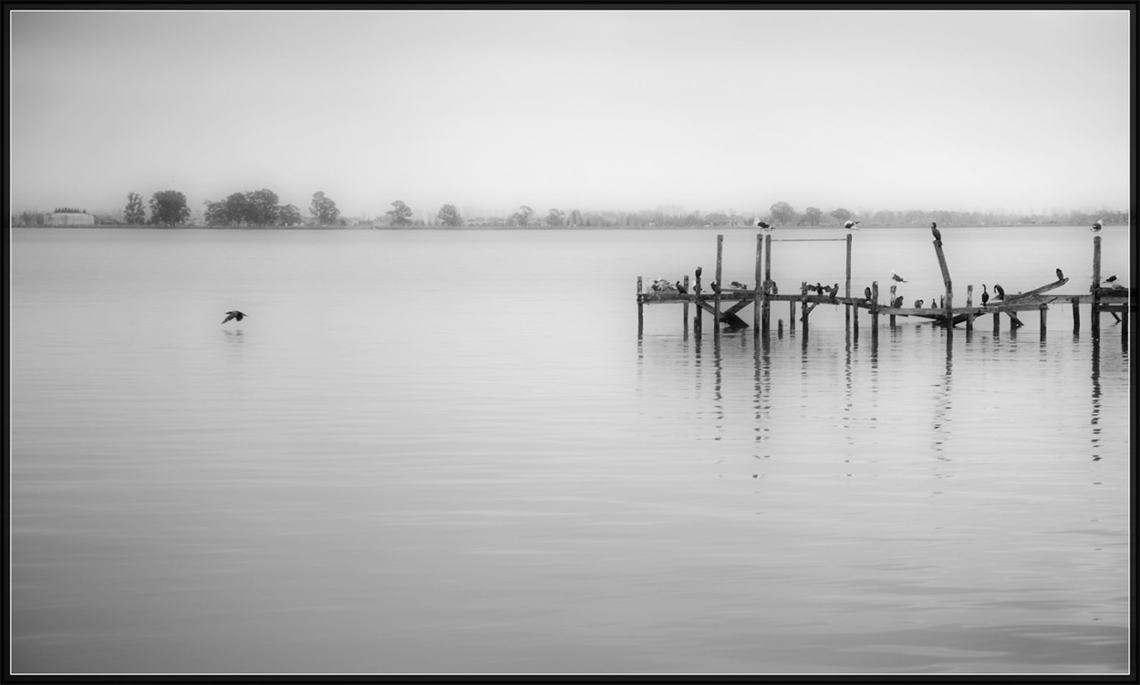 "El muelle" de Gabriela Garcia Lanza