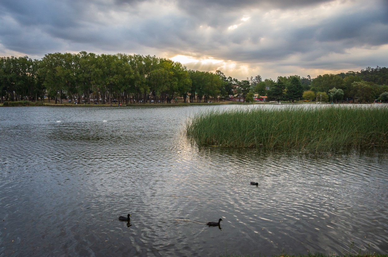 "El lago" de Fernando Valdez Vazquez