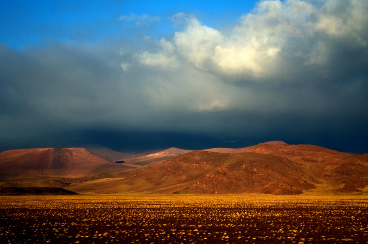 "El arco iris baj a la tierra." de Ana Rosalia Scott