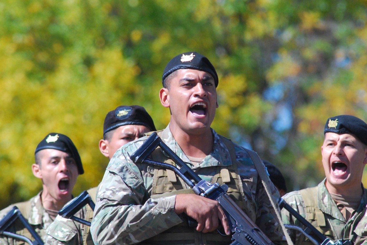 "Viva la patria" de Luis Silva