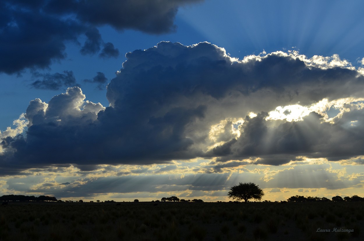 "Y el cielo se visti de azul" de Laura Noem Huizenga