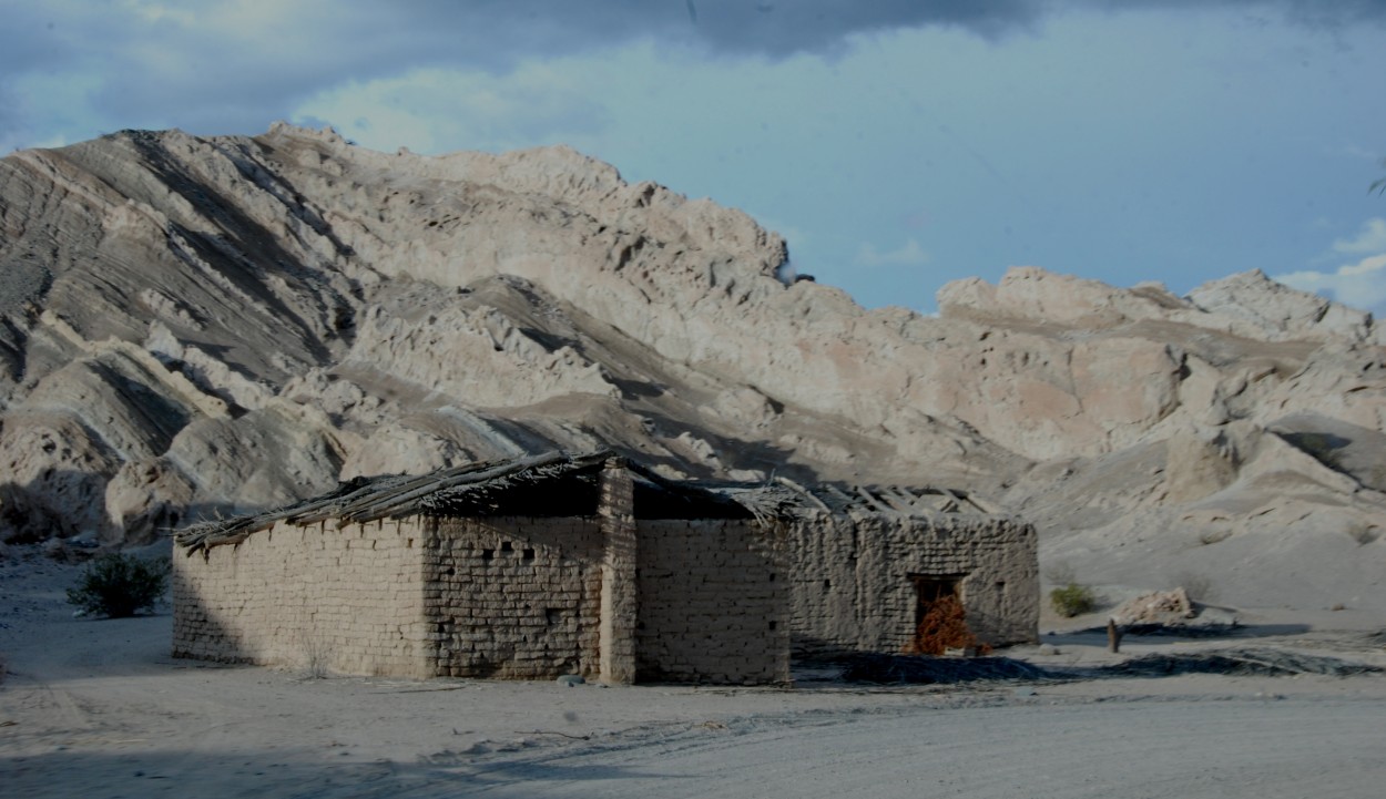 "Paisaje Tierra" de Maria Estela Martinez Alfaro