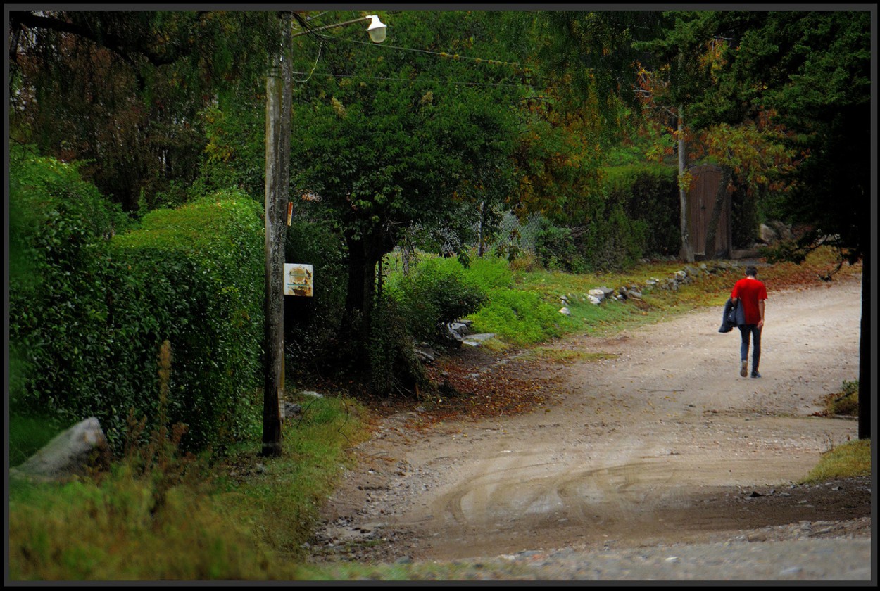 "De vuelta al hogar" de Jorge Vicente Molinari