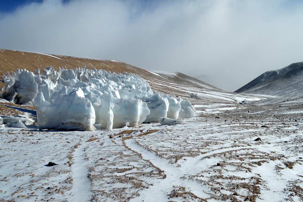 "Penitentes ." de Ana Rosalia Scott