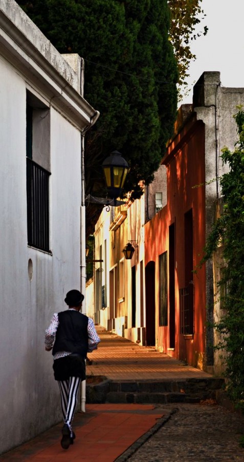 "Mimo escapando al Ocaso" de Albertina Yaconis