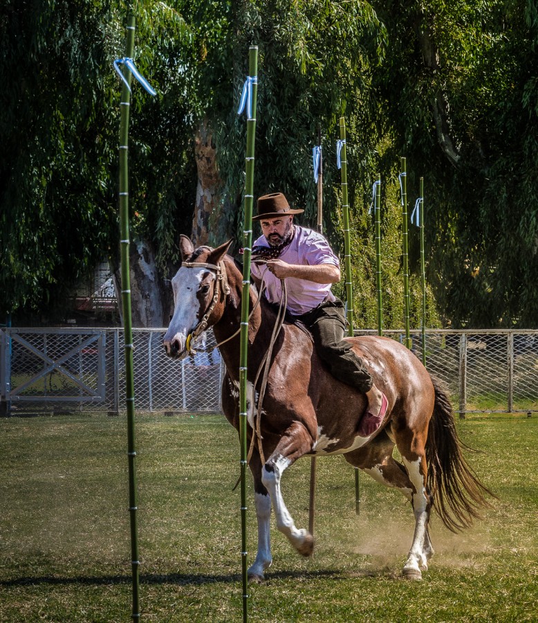 "Destreza" de Fernando Valdez Vazquez