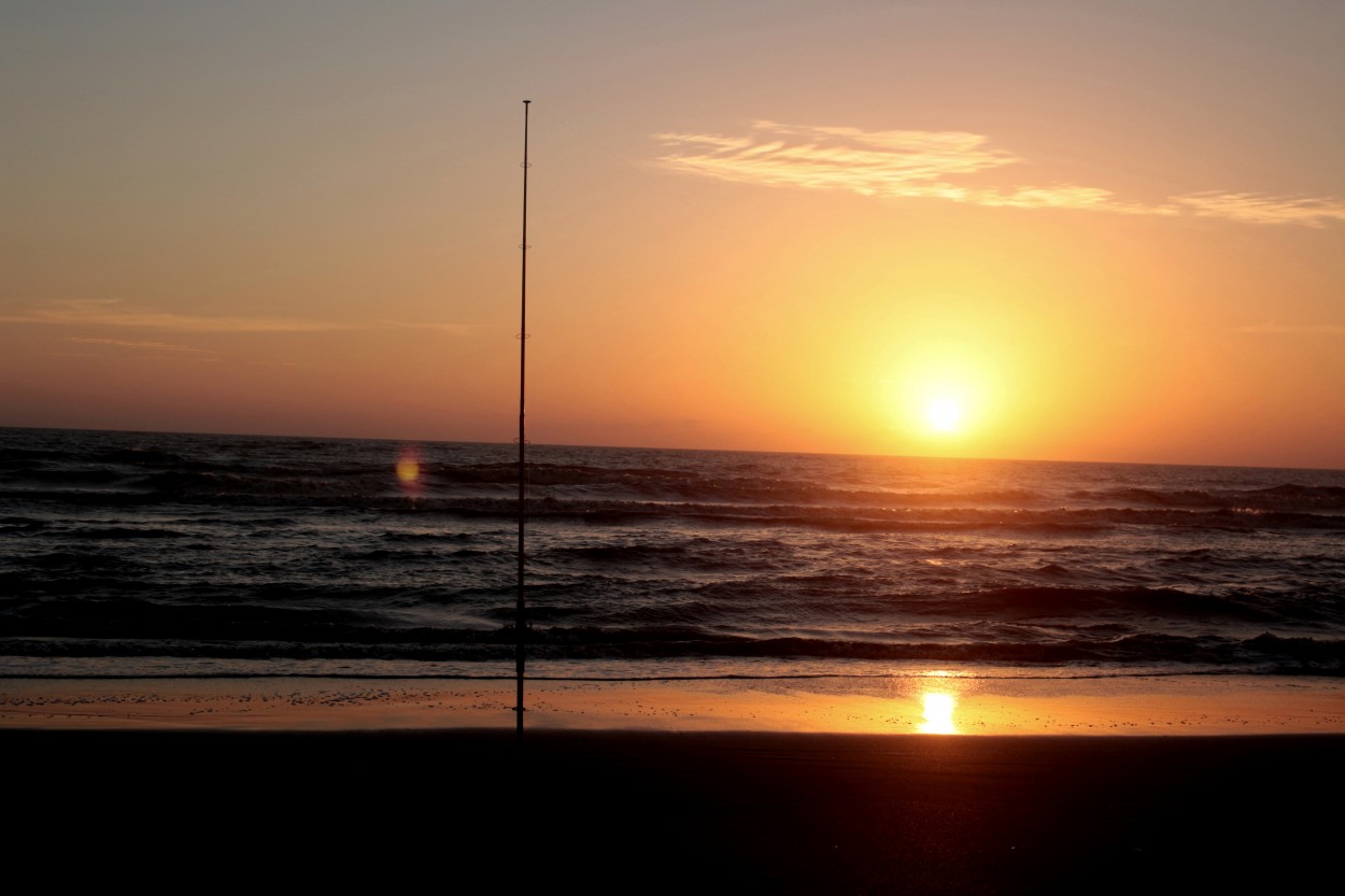 "Sin Filtro, sin pesca" de Fernando Robledo