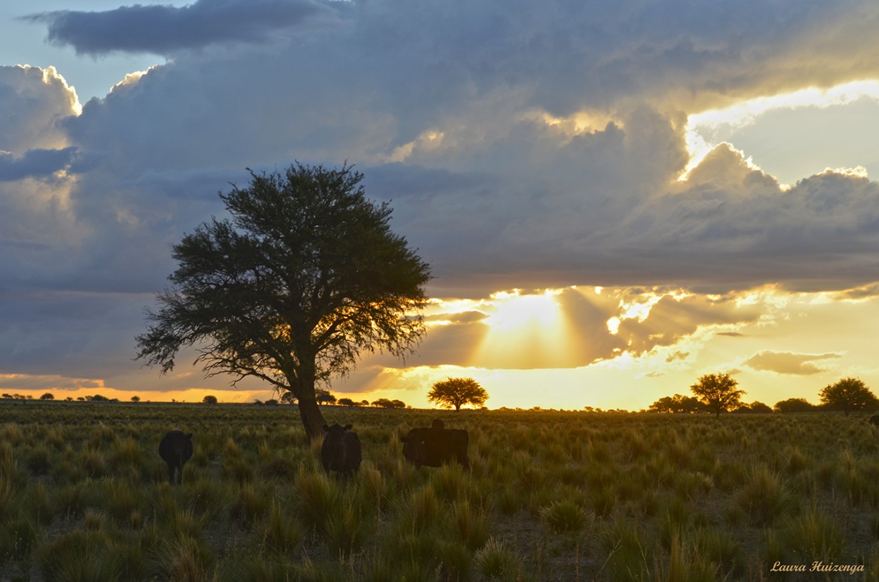 "Un tranquilo atardecer" de Laura Noem Huizenga