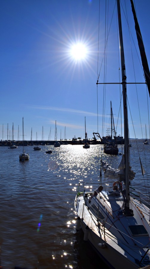 "Reflejos de sol" de Albertina Yaconis