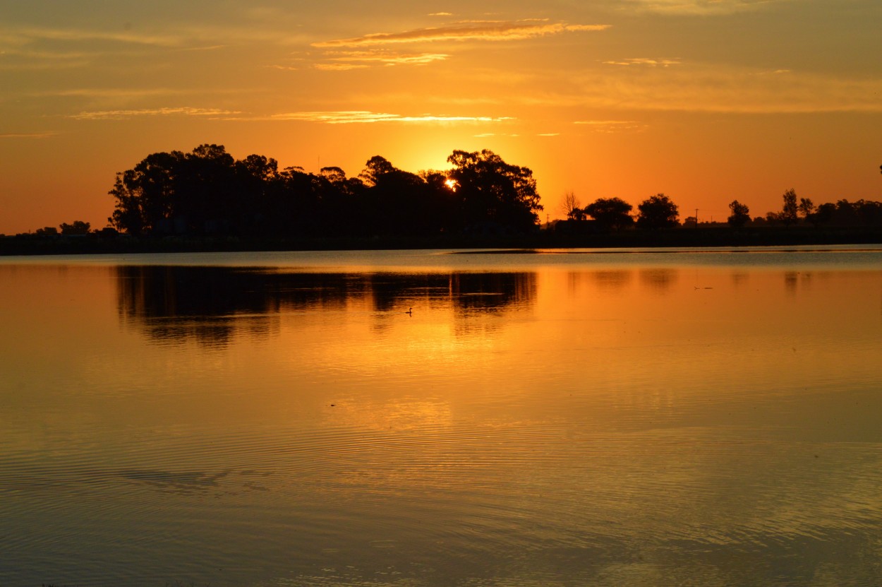 "Aguas de oro" de Ana Rosalia Scott