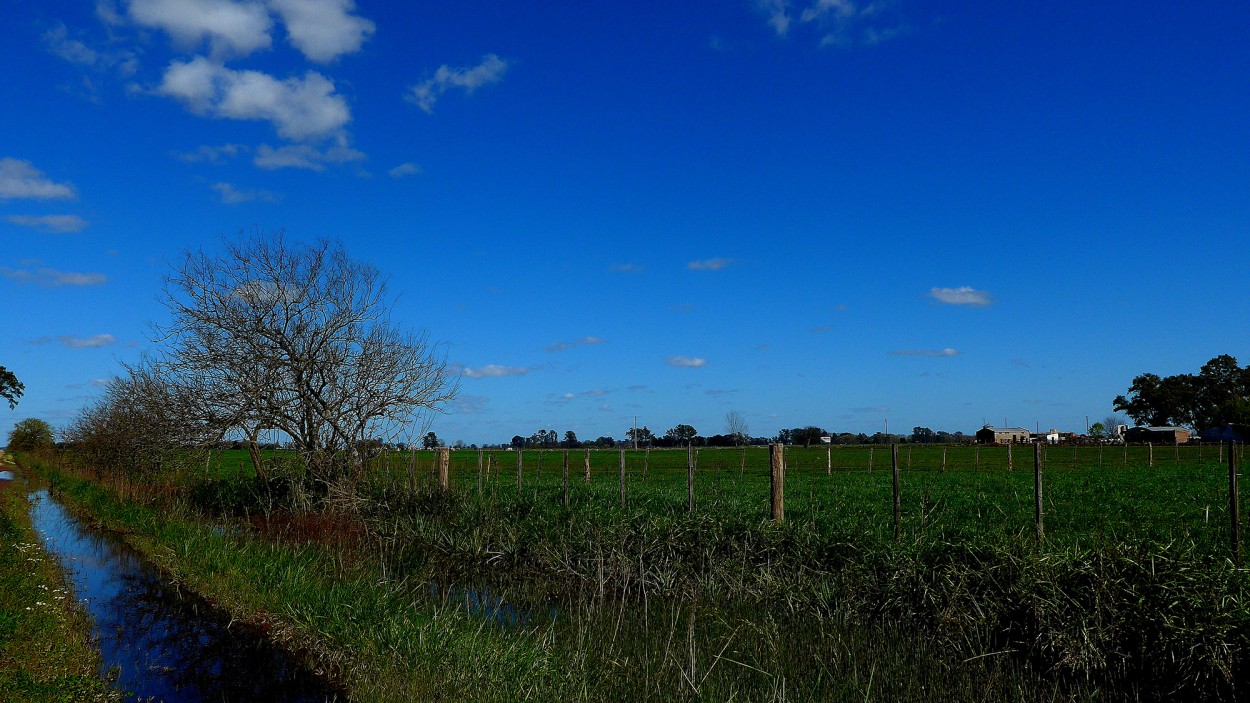 "Un dia de campo." de Stella Maris Haiek