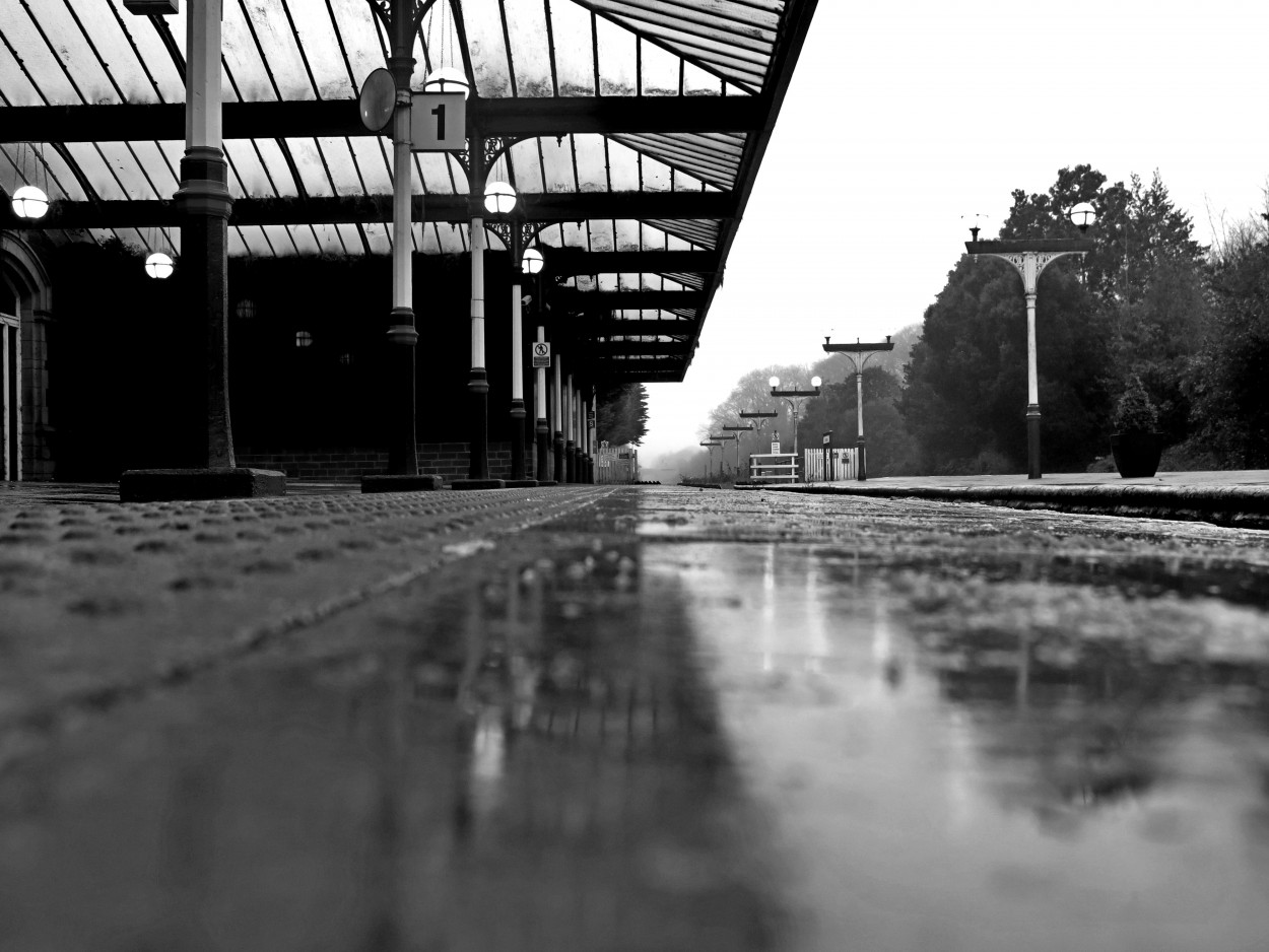 "de niebla y trenes" de Viviana Garca