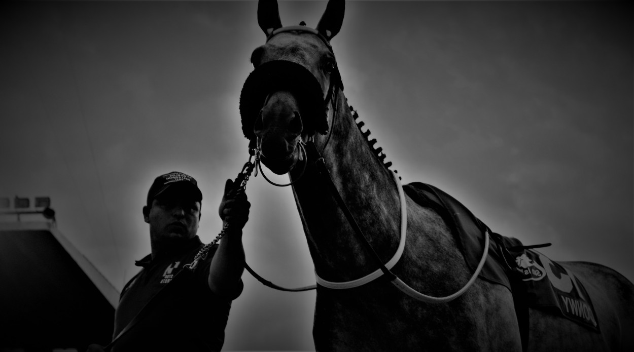 "Ganadora" de Fernan Godoy