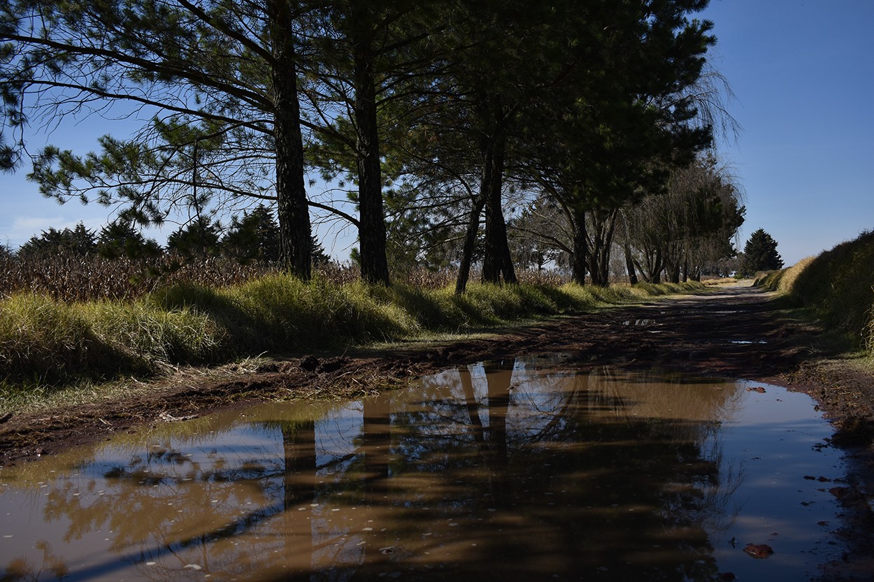 "Viejos caminos" de Guillermo Ramrez Garca