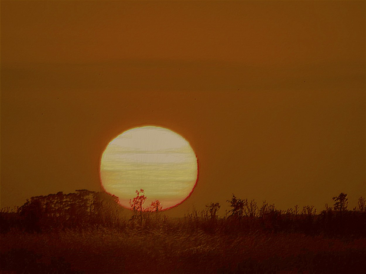 "Acordes de sol" de Liliana Gauna