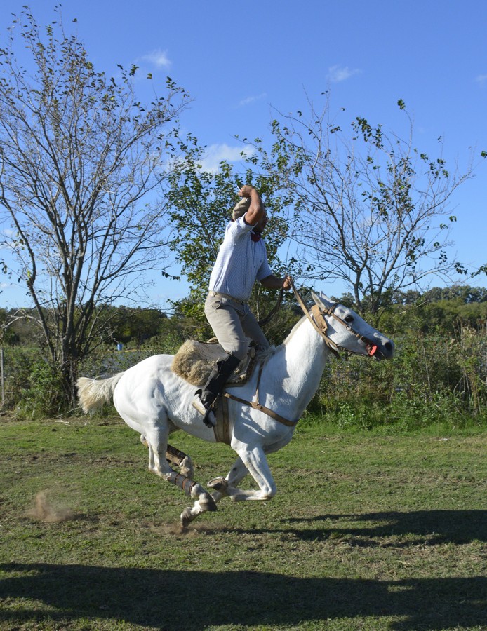 "Tierra Gaucha" de Marcos Gonzalo Gurnik