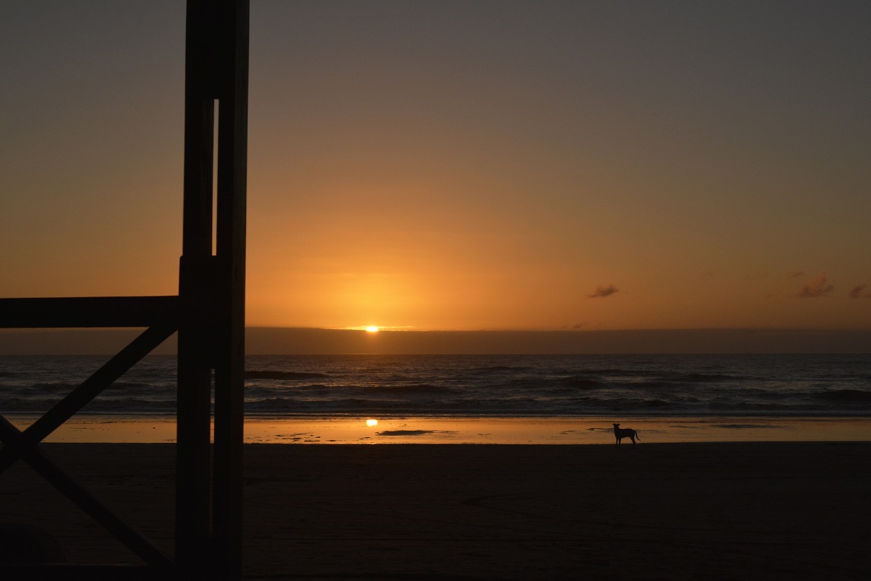 "Mirando el sol salir" de Mercedes Orden