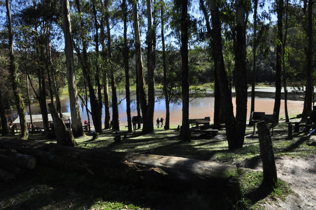 "Lago" de Flix Edmundo Reyes