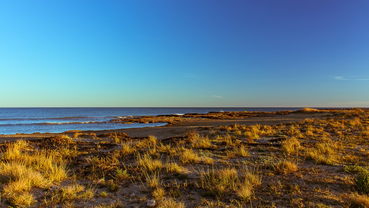 "Parque Natural Prat de Cabanes-Torreblanca. Castel" de Juan Beas