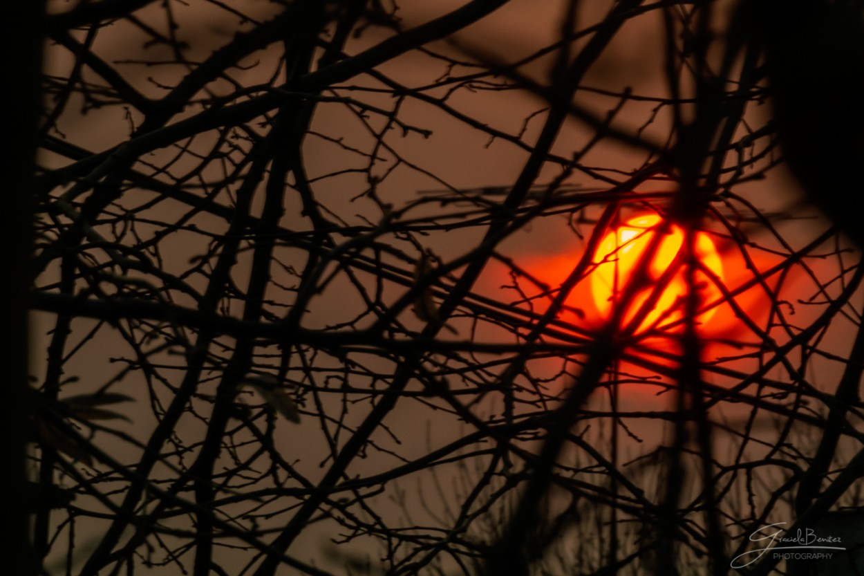 "Atardecer de un da agitado 2" de Graciela Mercedes Benitez