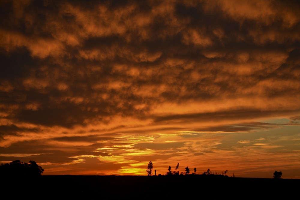 "Atardeceres rojos" de Osvaldo Sergio Gagliardi