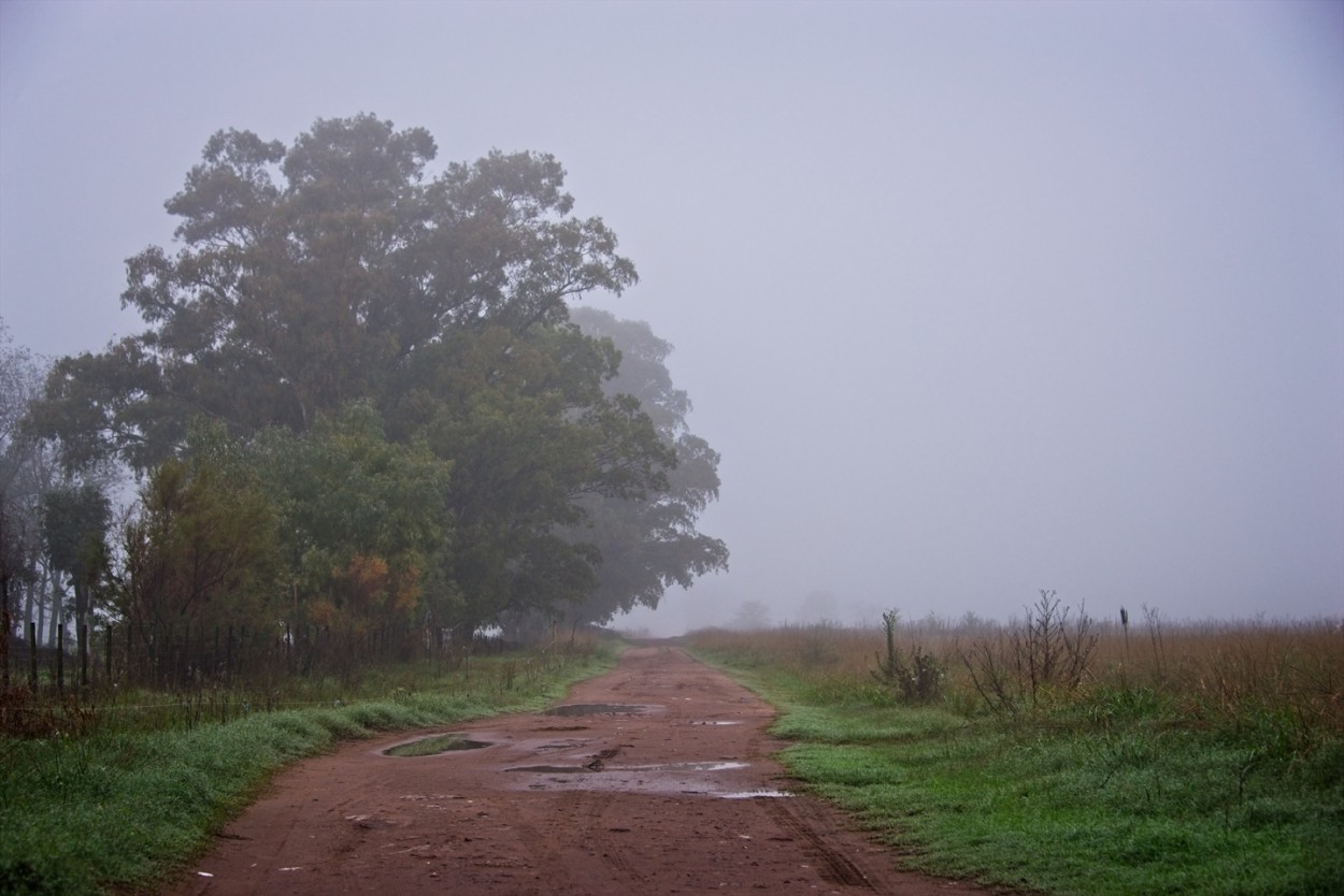 "Niebla y humedad" de Fernando Valdez Vazquez