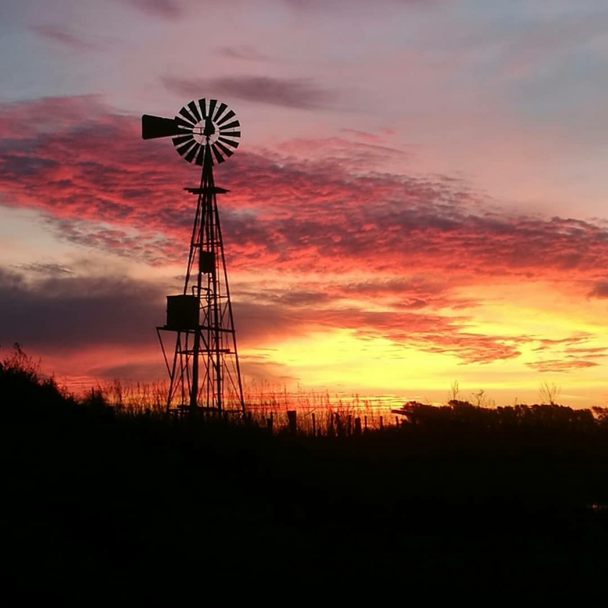 "Bello amanecer." de Matias Etchegaray