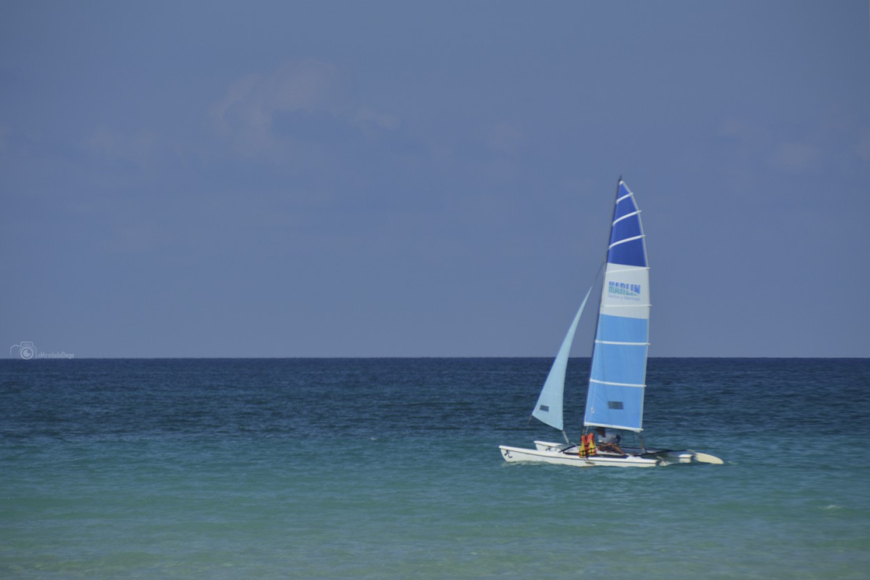 "Mar Azul" de Diego Pacheco